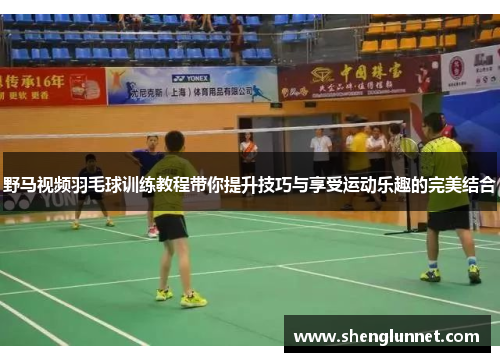 野马视频羽毛球训练教程带你提升技巧与享受运动乐趣的完美结合