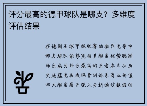 评分最高的德甲球队是哪支？多维度评估结果