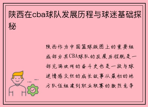 陕西在cba球队发展历程与球迷基础探秘